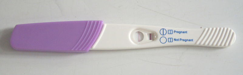 Primo trimestre sintomi paure rischi gravidanza feto libricino-libri-fiabe-favole-per-bambini-ragazzi-news-blog-recensioni (1)